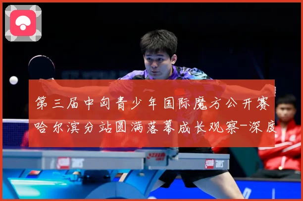 第三届中匈青少年国际魔方公开赛哈尔滨分站圆满落幕成长观察-深度解析