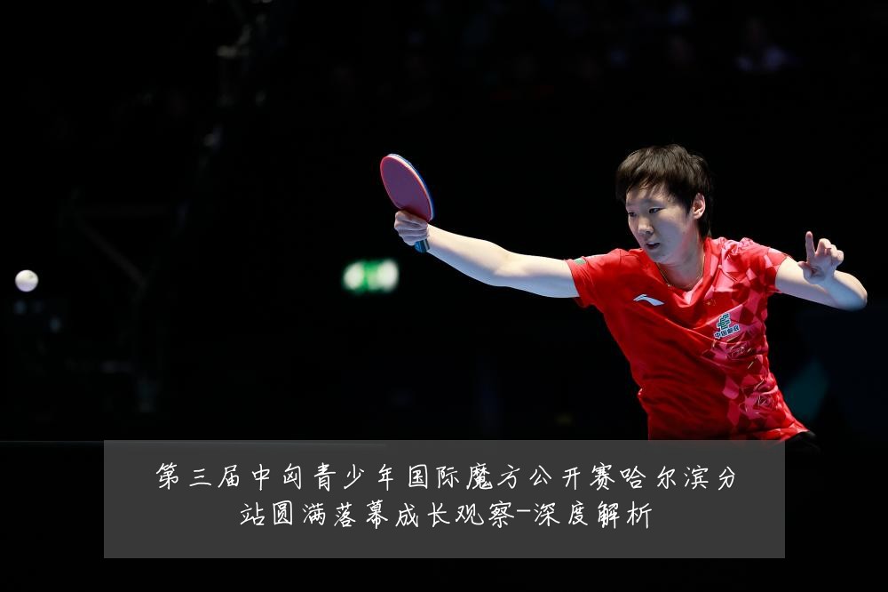 第三届中匈青少年国际魔方公开赛哈尔滨分站圆满落幕成长观察-深度解析